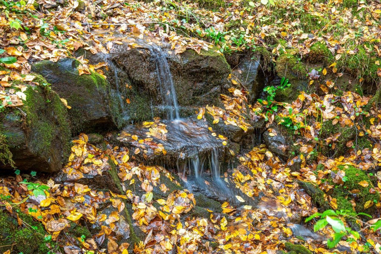 Mountain Top Tranquility Sylva Dış mekan fotoğraf