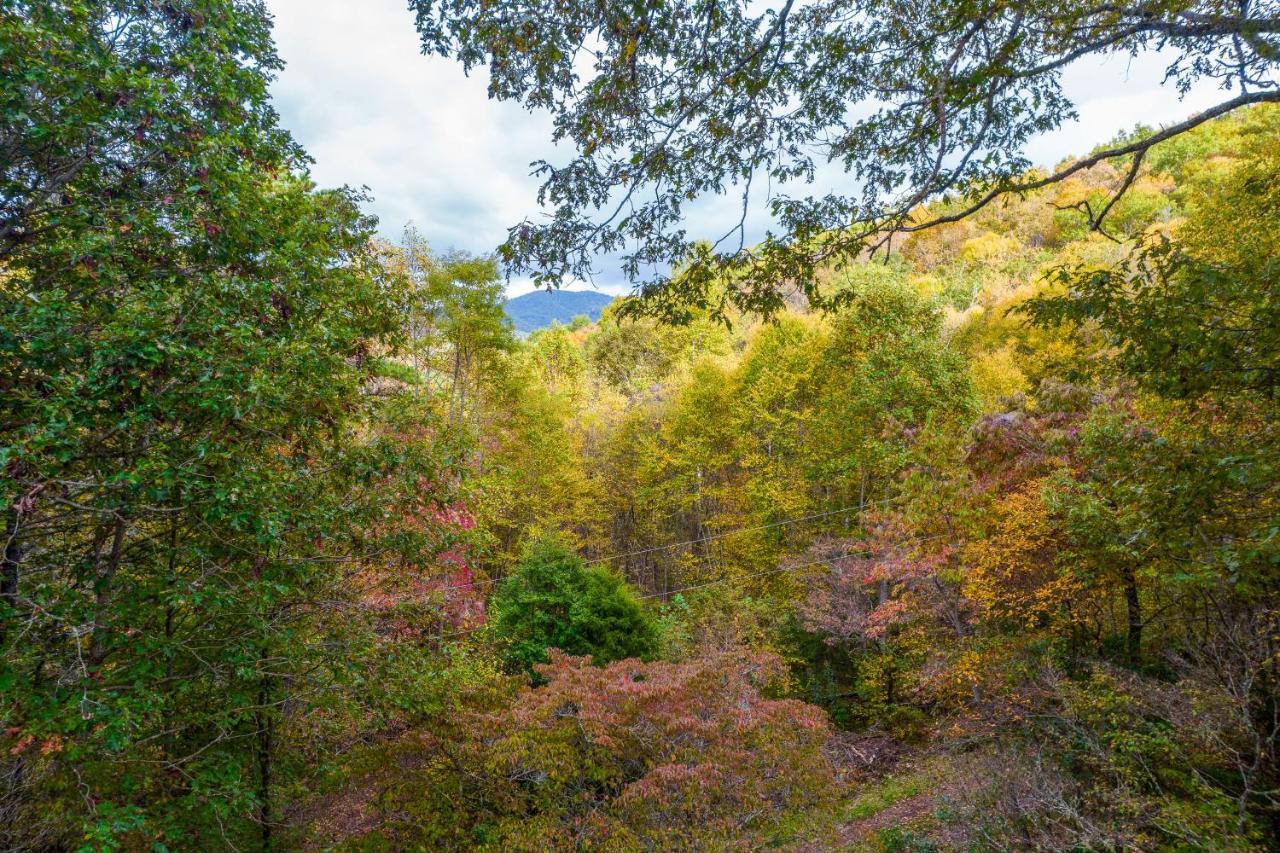 Mountain Top Tranquility Sylva Dış mekan fotoğraf